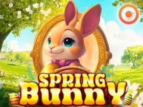 Spring Bunny